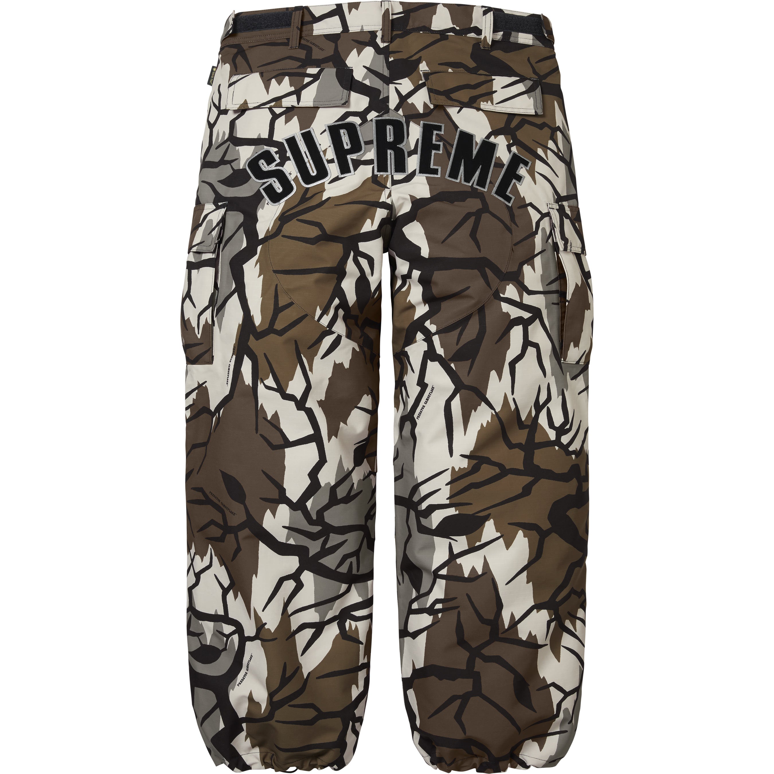 GORE-TEX Cargo Pant