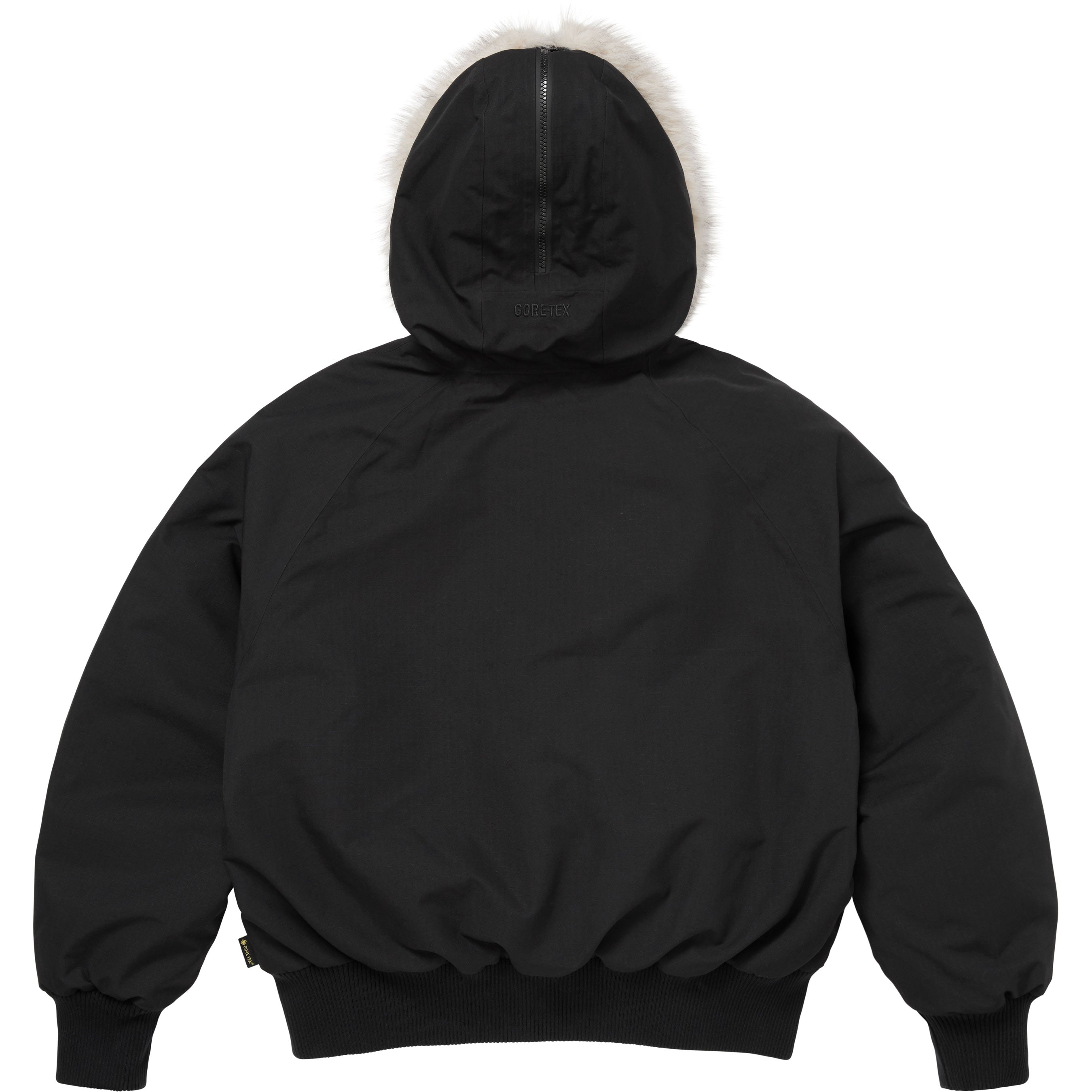 GORE-TEX N-2B Jacket